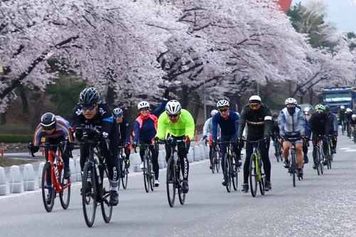 클럽 활동 사진