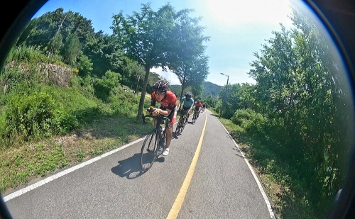 클럽 활동 사진