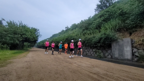 클럽 활동 사진