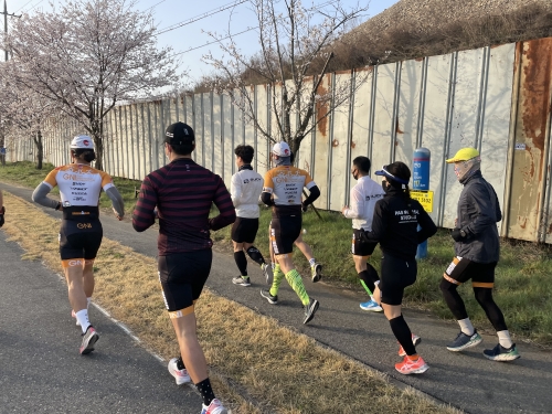 클럽 활동 사진