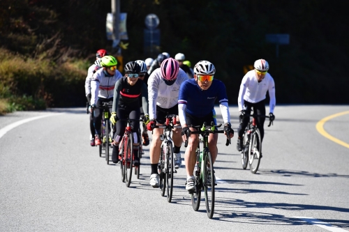 클럽 활동 사진