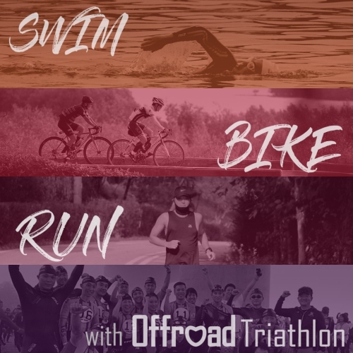 클럽 활동 사진