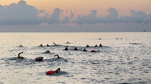 클럽 활동 사진