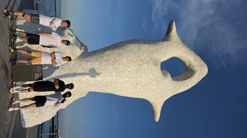 클럽 활동 사진