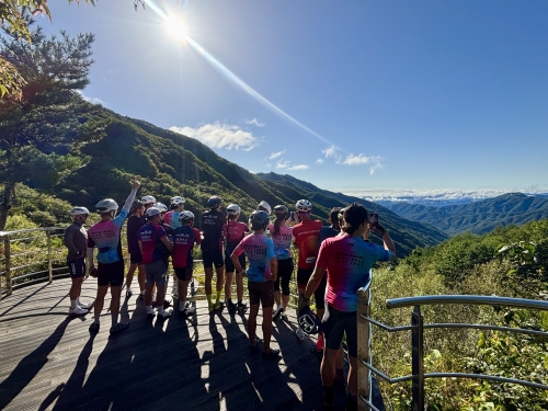 클럽 활동 사진