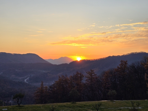 클럽 활동 사진